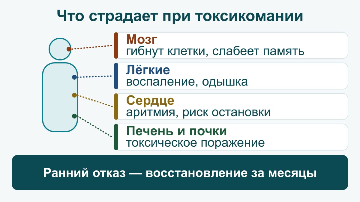 Схема: как летучие вещества бьют по организму — мозг (гибель нервных клеток, снижение памяти), лёгкие (воспаление, одышка), сердце (аритмия, риск внезапной остановки), печень и почки (токсическое поражение); при раннем отказе восстановление идёт месяцы